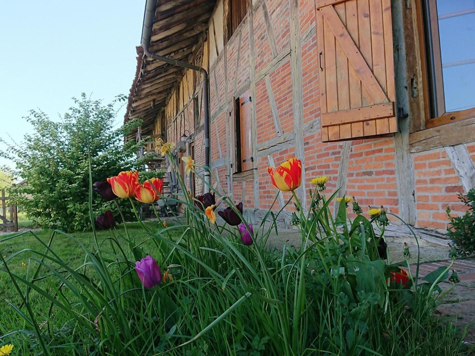 A La Poularde B&B Curciat-Dongalon Luaran gambar