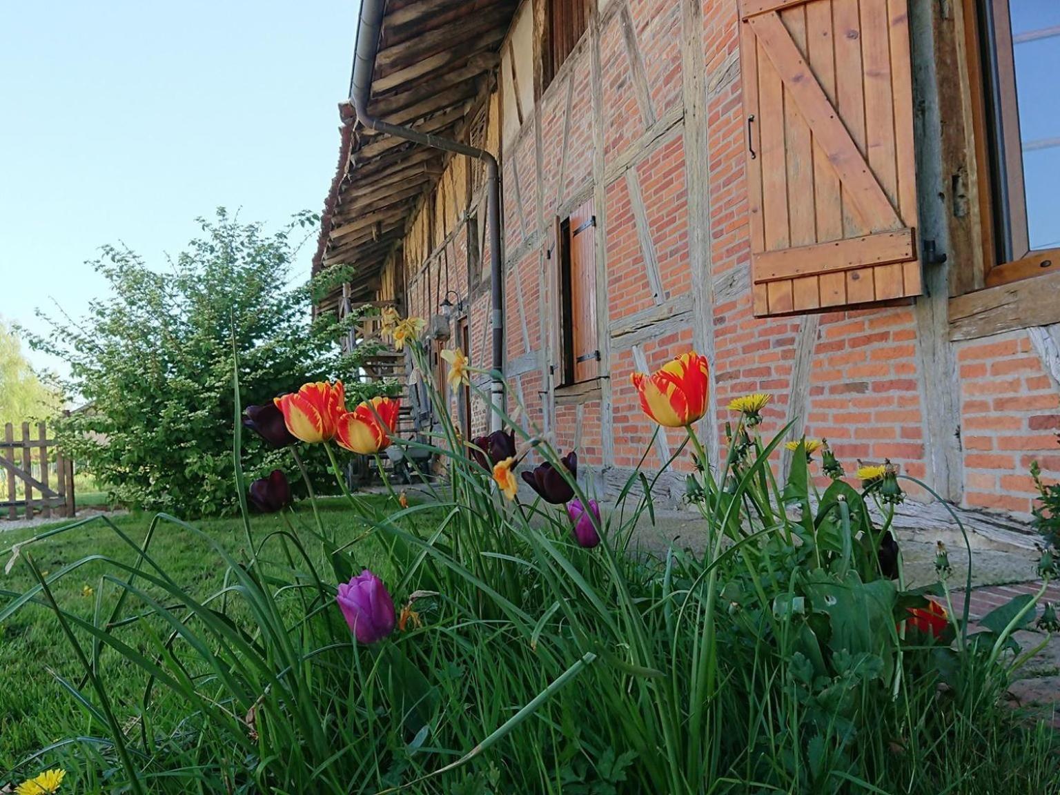 A La Poularde B&B Curciat-Dongalon Bilik gambar