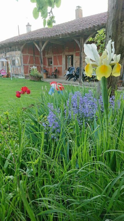 A La Poularde B&B Curciat-Dongalon Bilik gambar