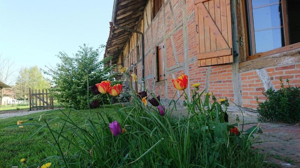 A La Poularde B&B Curciat-Dongalon Bilik gambar